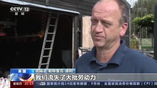 大量货物堆积港口，这些地方深陷供应链危机